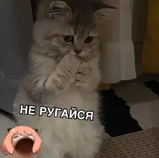 😣