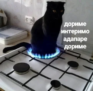 🤔