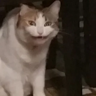 😈