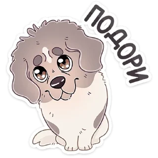 🐶