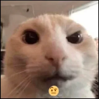 🤨