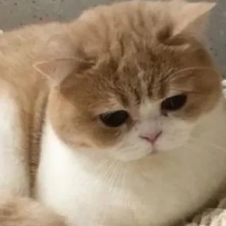 🙁
