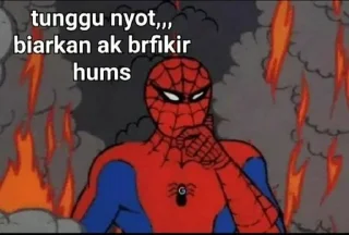 🕸