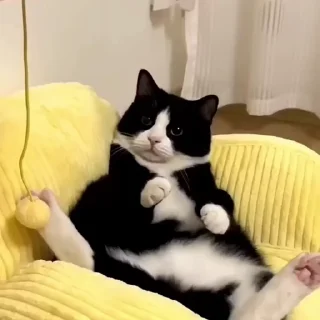 😮