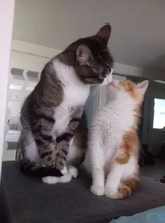❤️