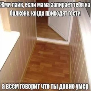 🙈