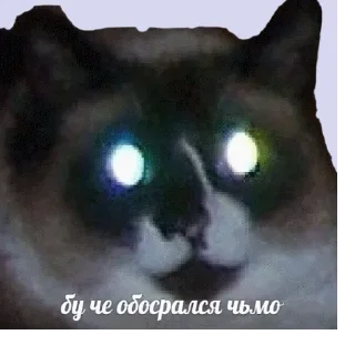 😵