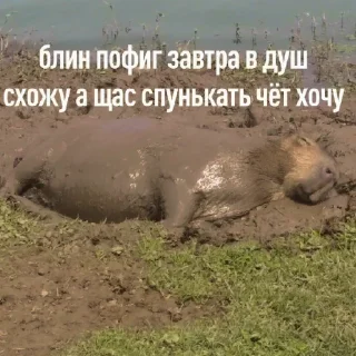 ☺️