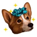 🐶