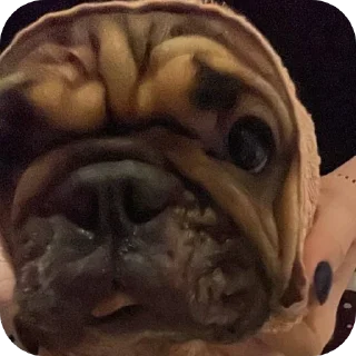 🤲