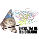 Кот вжух