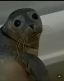 🧐