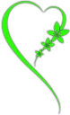💚