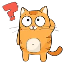 🐱