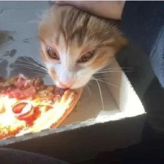 🍕