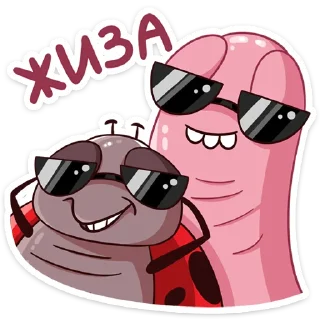 😎