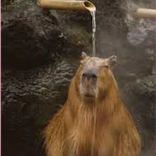 🚿