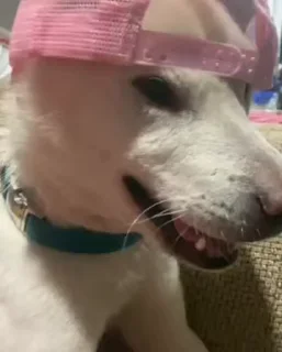 🤠