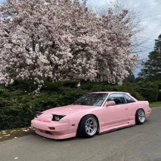 🌸