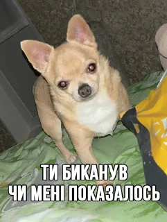 🤨