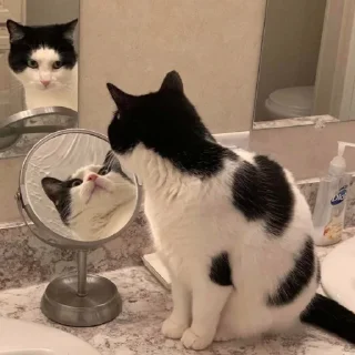 😊