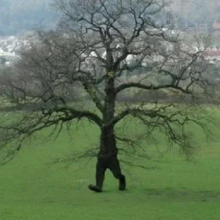 🏃
