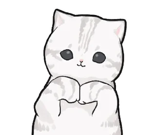 🐱