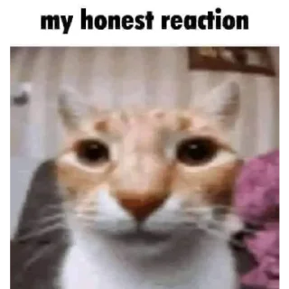 🪦