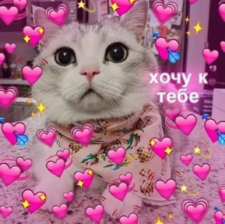 💗