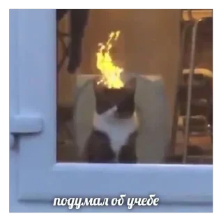 🔥
