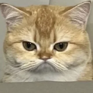 😫