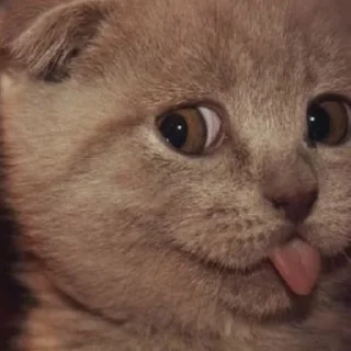 😛