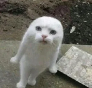 😕