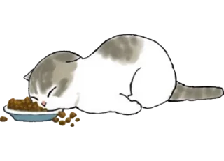 😴