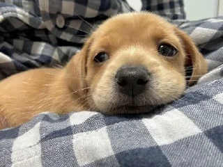 😕