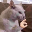👌