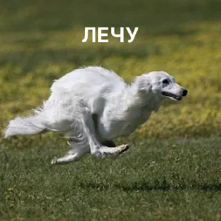 ✈️