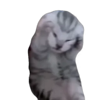 🤯