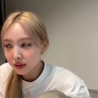 🐰