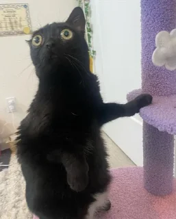 😐