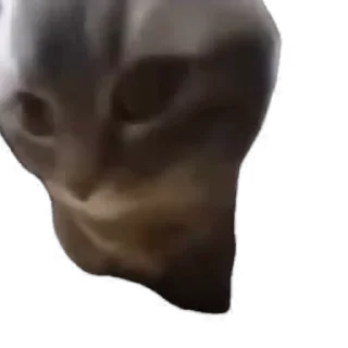 🤸