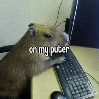 ❤️