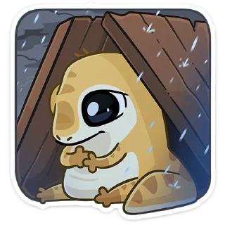 ☔️