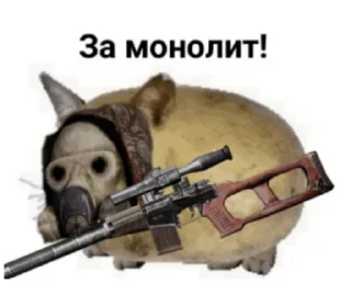 🗿