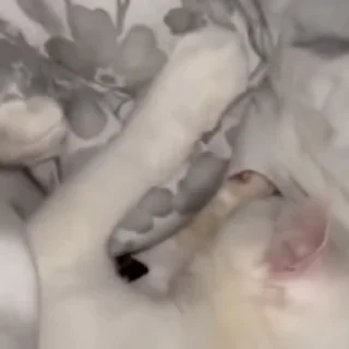 😴