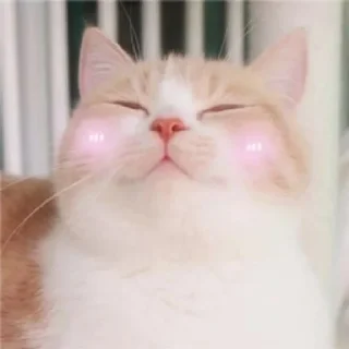 ☺️