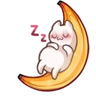 😴