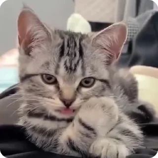 😉