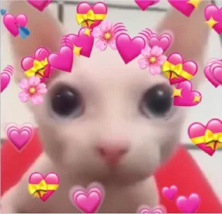 ❤