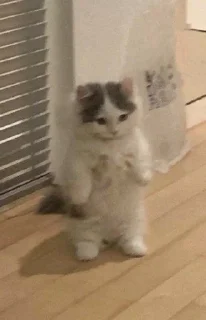 ☹️